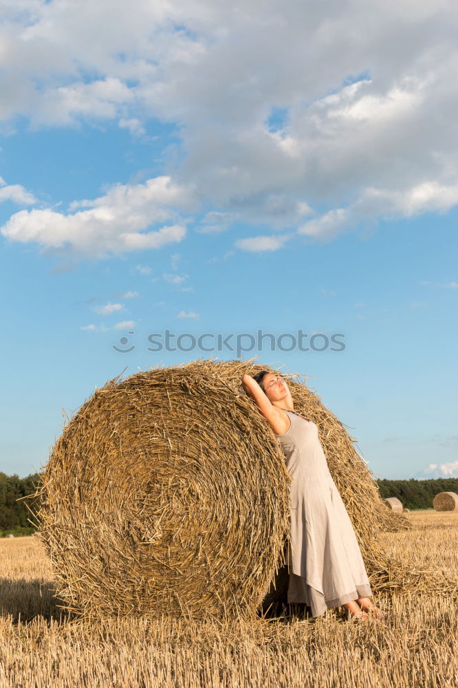 Similar – Foto Bild Gelb Erholung Sommer