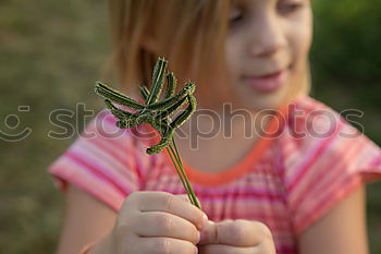 Similar – Image, Stock Photo Contact Feminine Child