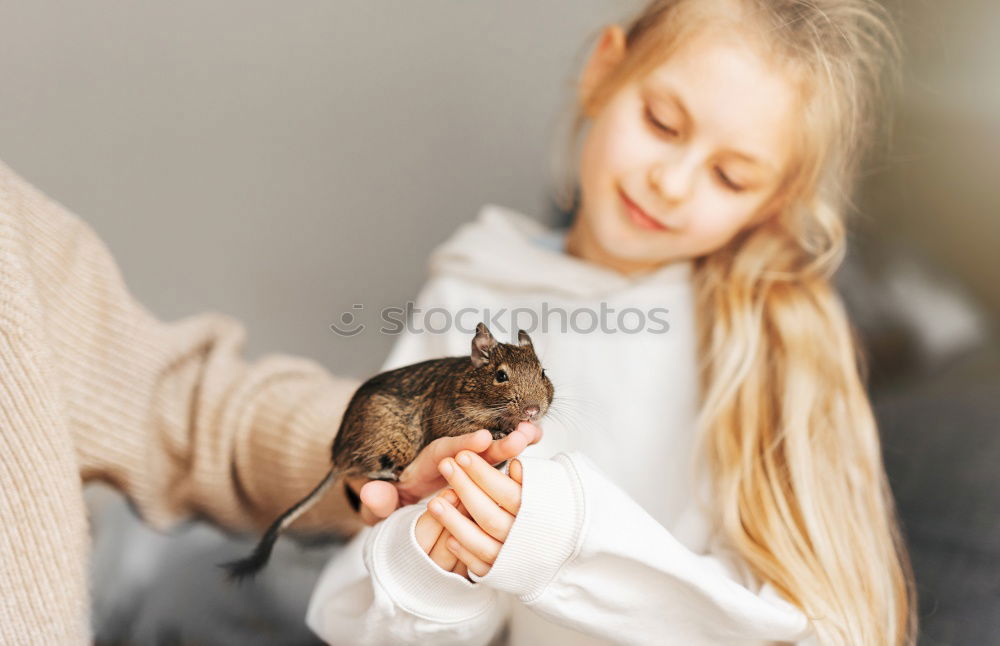 Similar – Girl cuddles with rabbit