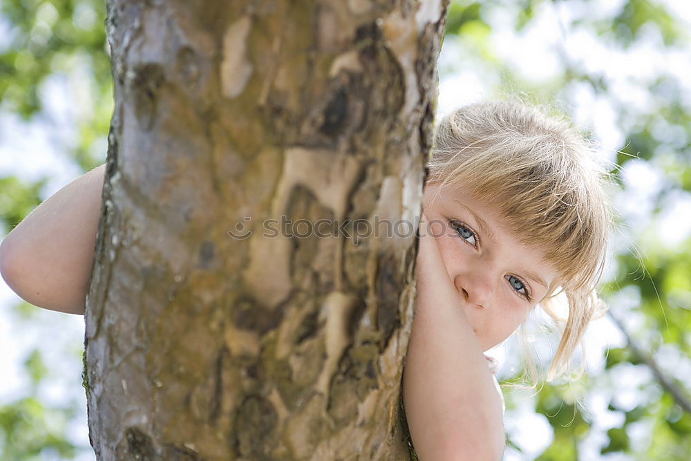 Similar – Image, Stock Photo budding Tree Tree bark