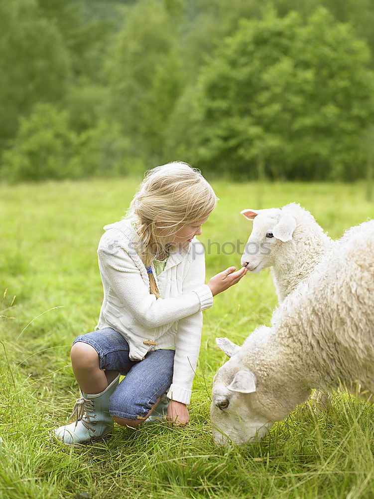 Similar – Image, Stock Photo Little girl looking a goat on the grass