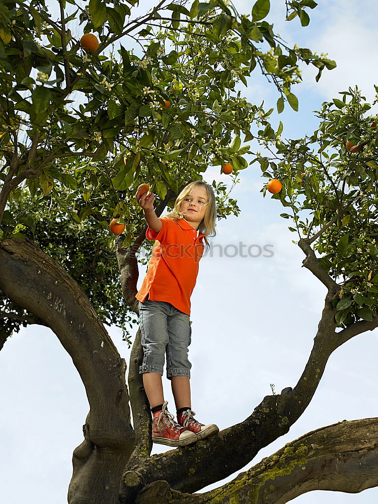 Similar – Image, Stock Photo Apple girl 2 Fruit