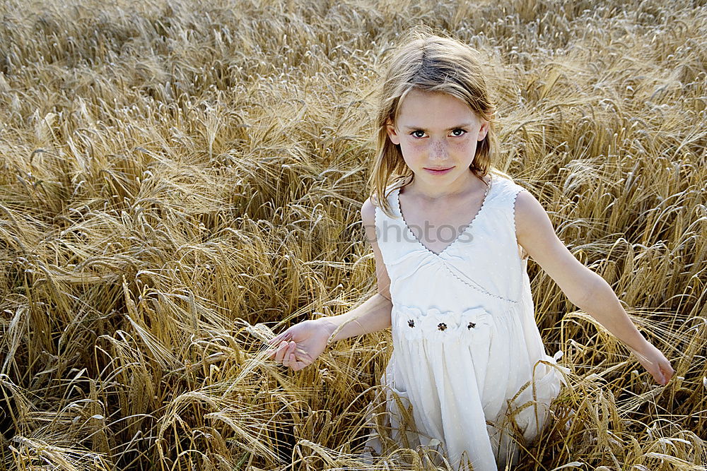 Similar – analogue portrait of a young woman sitting barefoot in a rye field in a summer dress and smiling