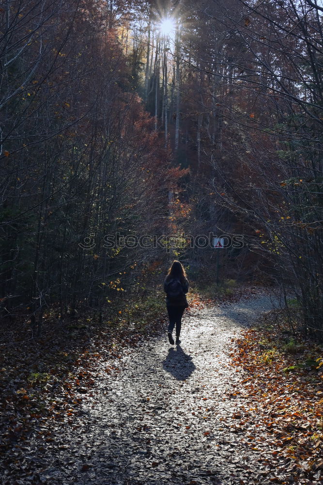 Similar – A girl walking through a forest of bare trees