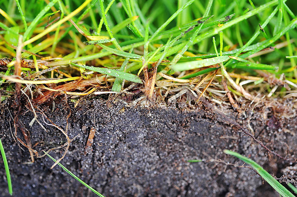 Similar – Türdeko Bioprodukte Leben