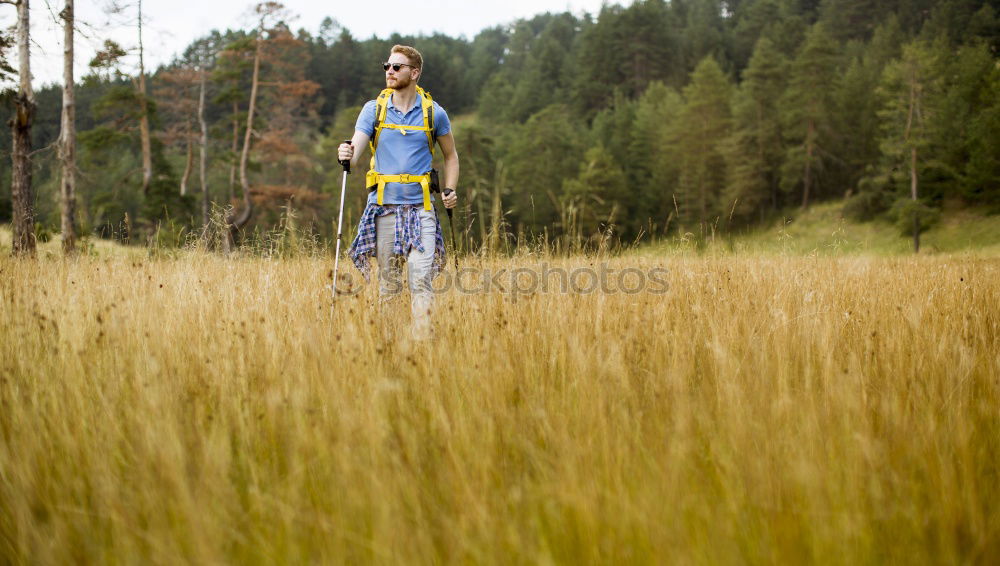 Similar – Forest and meadow photographer