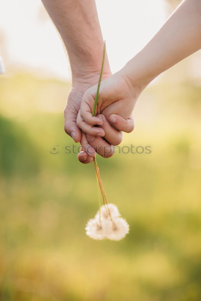 Similar – Hand in hand with a bouquet of flowers