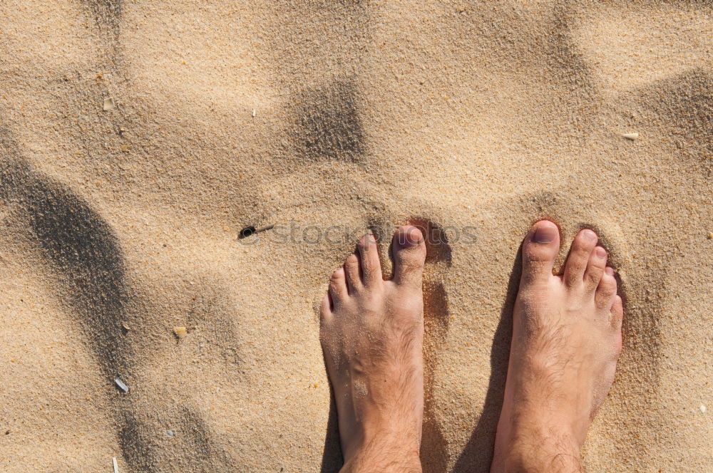 Similar – Feet in the sandy beach