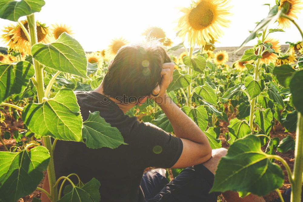 Similar – Image, Stock Photo woman in sunflower field, spain