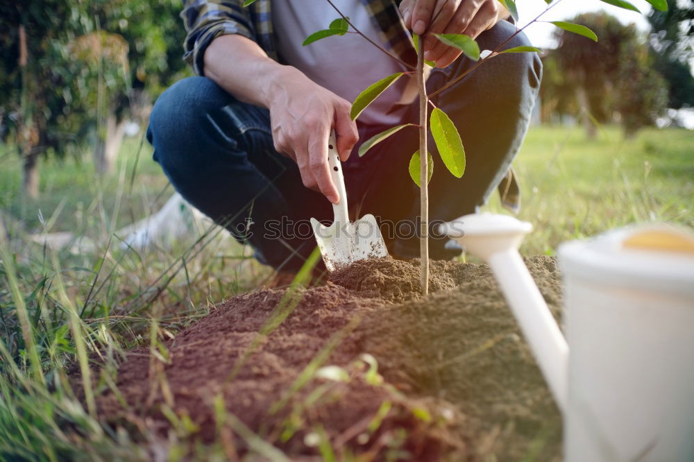 Similar – Image, Stock Photo in the land of strawberries