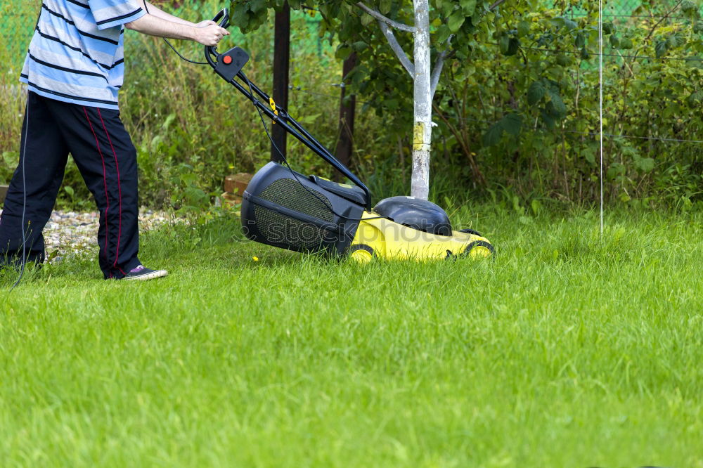 Similar – Image, Stock Photo Spraying pesticides with a portable sprayer to eliminate weeds from the lawn. Weed killer spray on the weeds in the garden. Pesticide use is harmful to health. Weed control concept. Weed killer