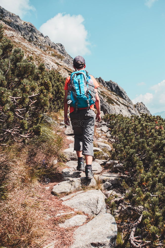 Image, Stock Photo Boy standing among the dwarf pines on mountain trail