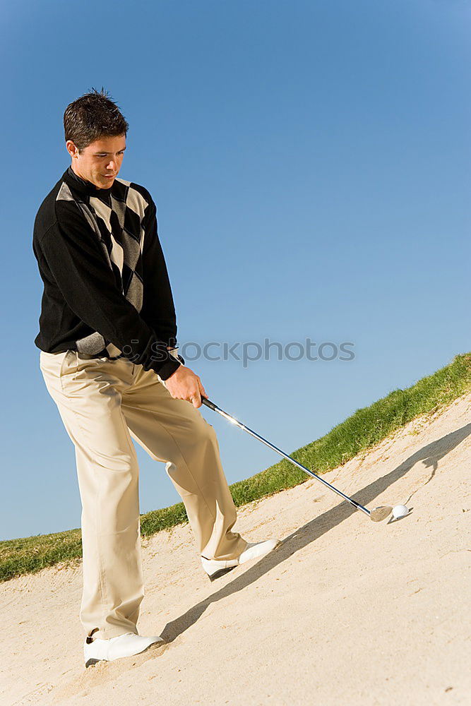 Similar – Image, Stock Photo Scottish Callaway