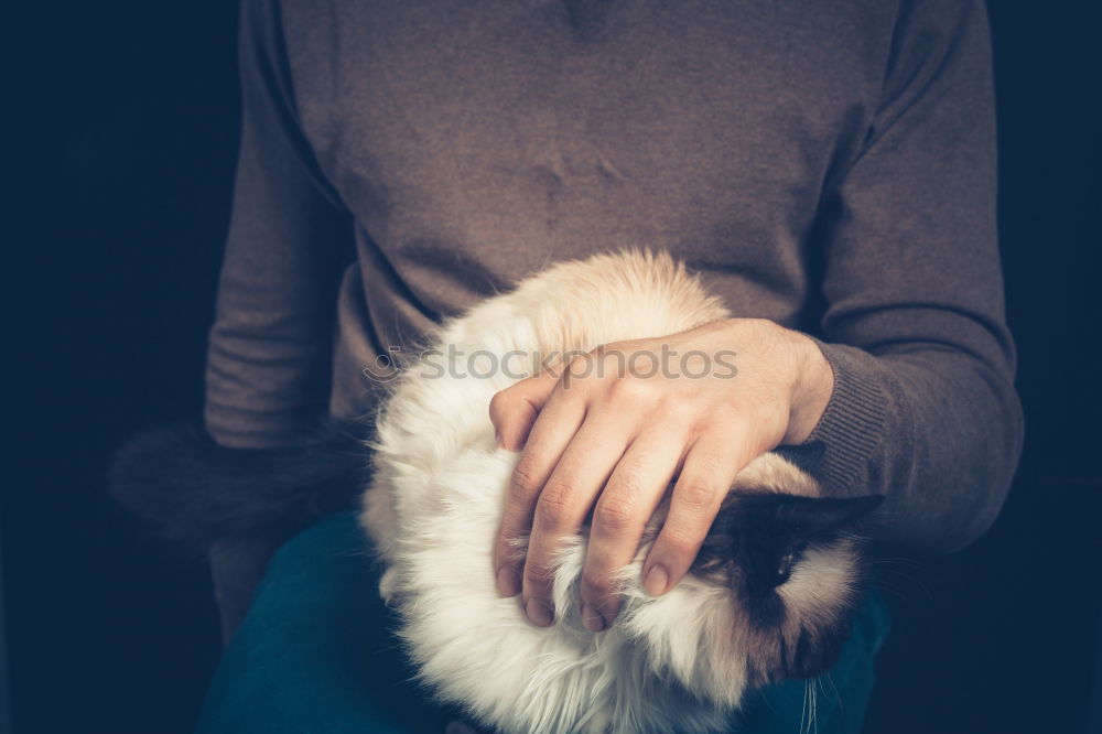 Similar – Young man holding a baby cat with his hands