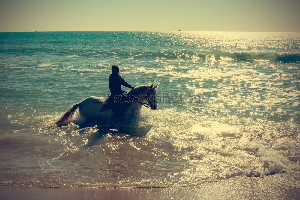 Image, Stock Photo beach boy Lifestyle Style