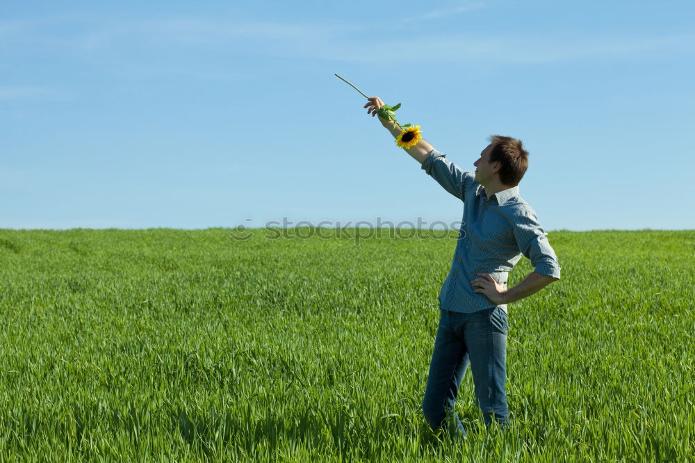 Similar – growth Canola