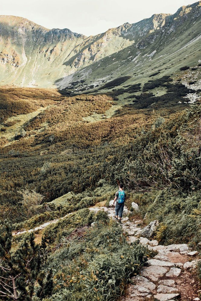Similar – Image, Stock Photo Ascent to the summit