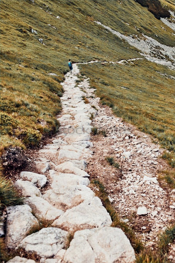 Similar – Boy hiking in the mountains