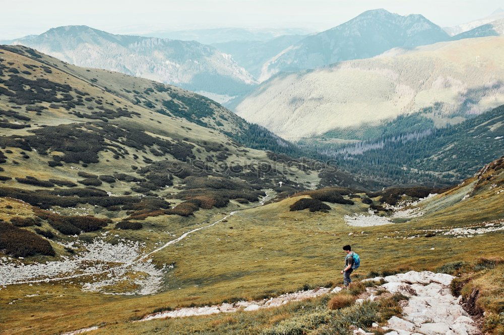 Similar – Image, Stock Photo Descent to Holzgau | Alpine crossing