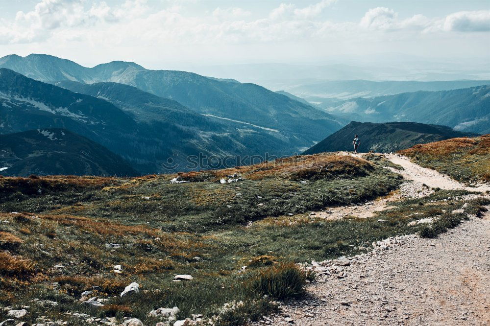 Similar – Image, Stock Photo Ascent to the summit