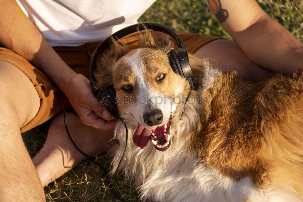 Similar – Foto Bild Schmusen. Hund Frau