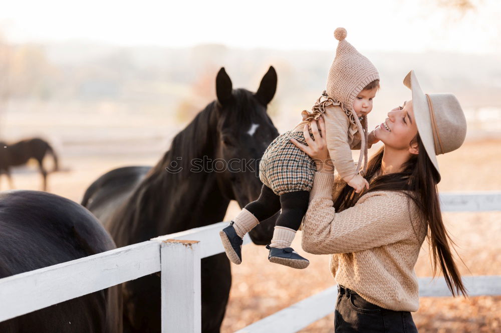 Similar – Image, Stock Photo Thoroughbred Arabian horse enjoys crawling at the neck