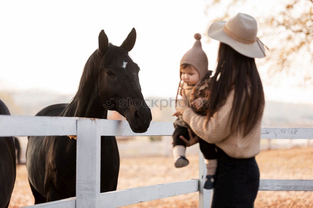 Similar – Image, Stock Photo Beautiful young rider woman with horse in nature. Love and friendship between man and animal. Portrait in landscape near horse stable of riding farm with riding school or farm with pet for hobby riding.