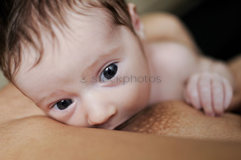 Similar – Father holding newborn baby son at the day time. Concept of happy family.