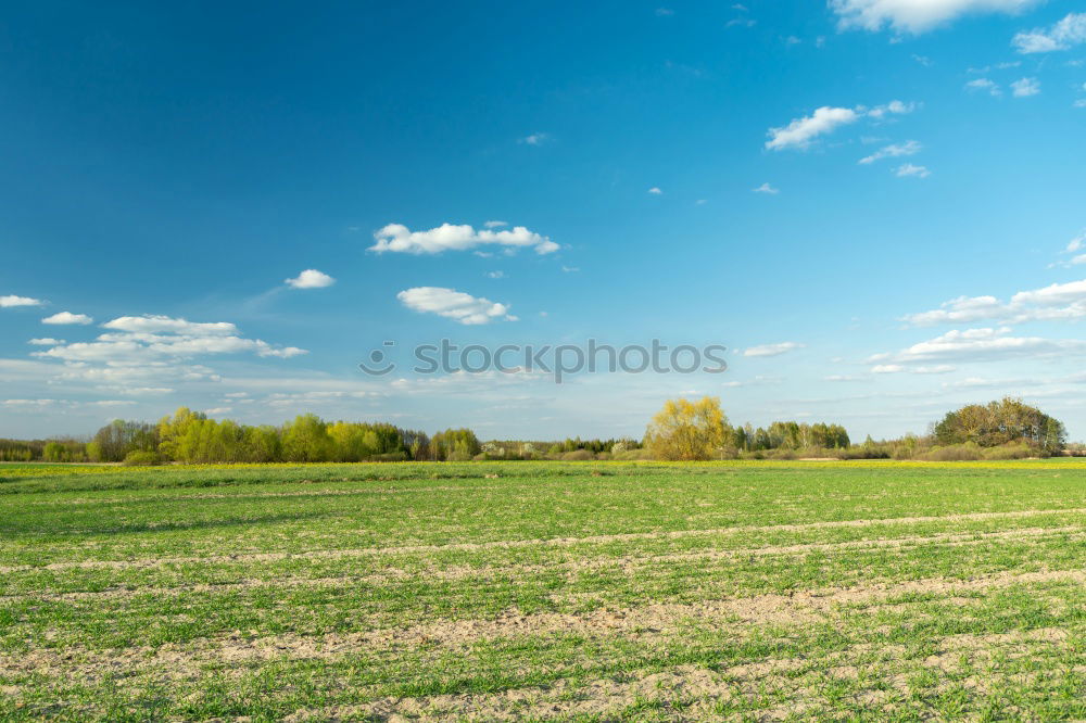 Similar – Image, Stock Photo overland route Environment