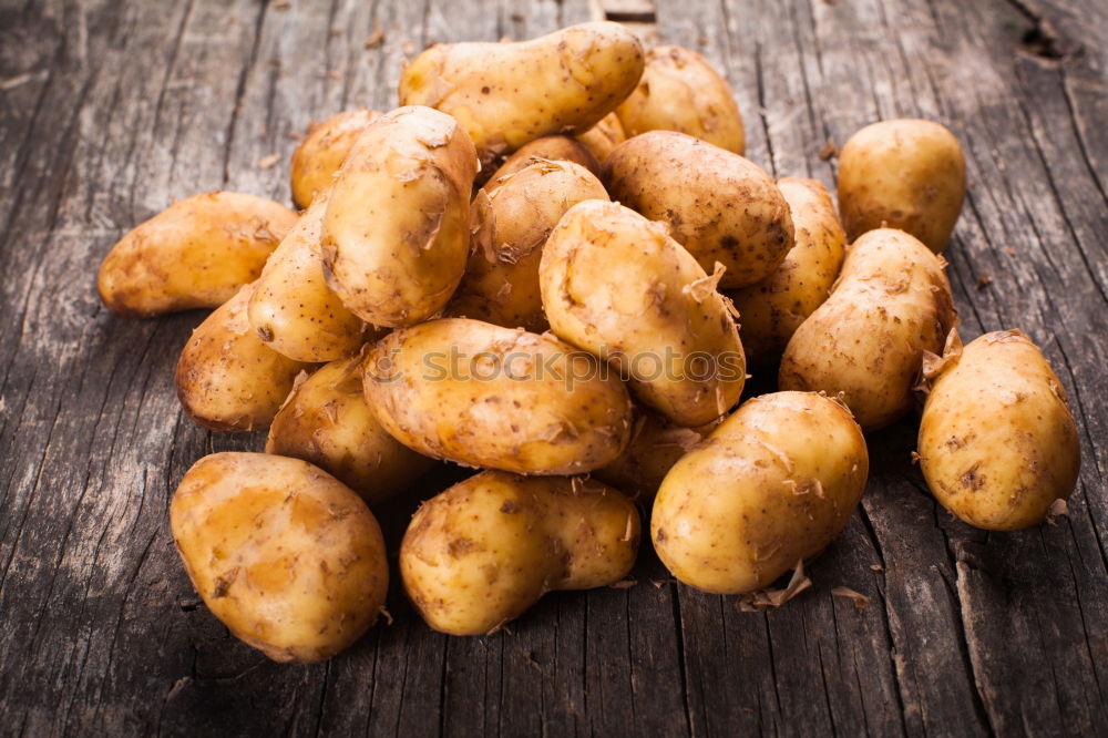 Similar – Image, Stock Photo Roots and turmeric powder