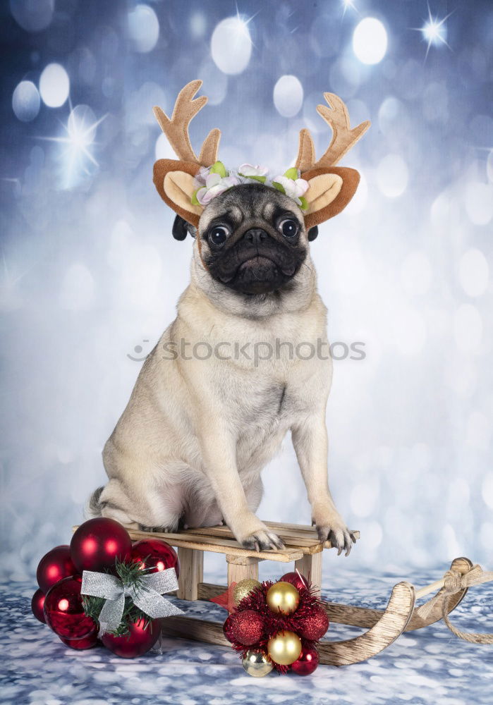 Similar – Image, Stock Photo There used to be more tinsel