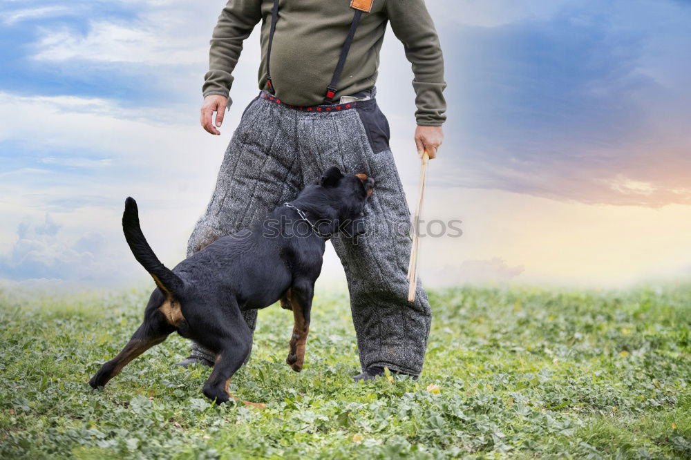 Similar – Foto Bild „es schlug mein herz geschwind zu pferde…“