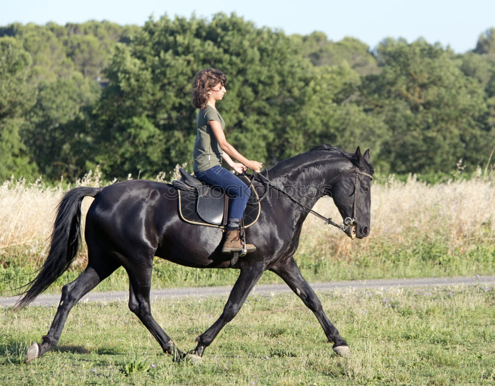 Similar – Image, Stock Photo Young woman riding a horse in nature