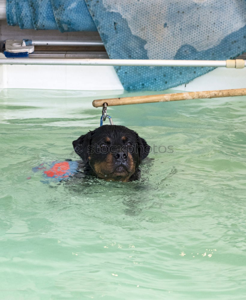 Similar – Life jacket testing.