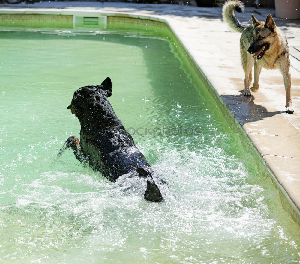 Life jacket testing.