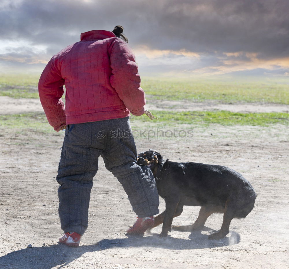 Similar – Image, Stock Photo eye-level Senses