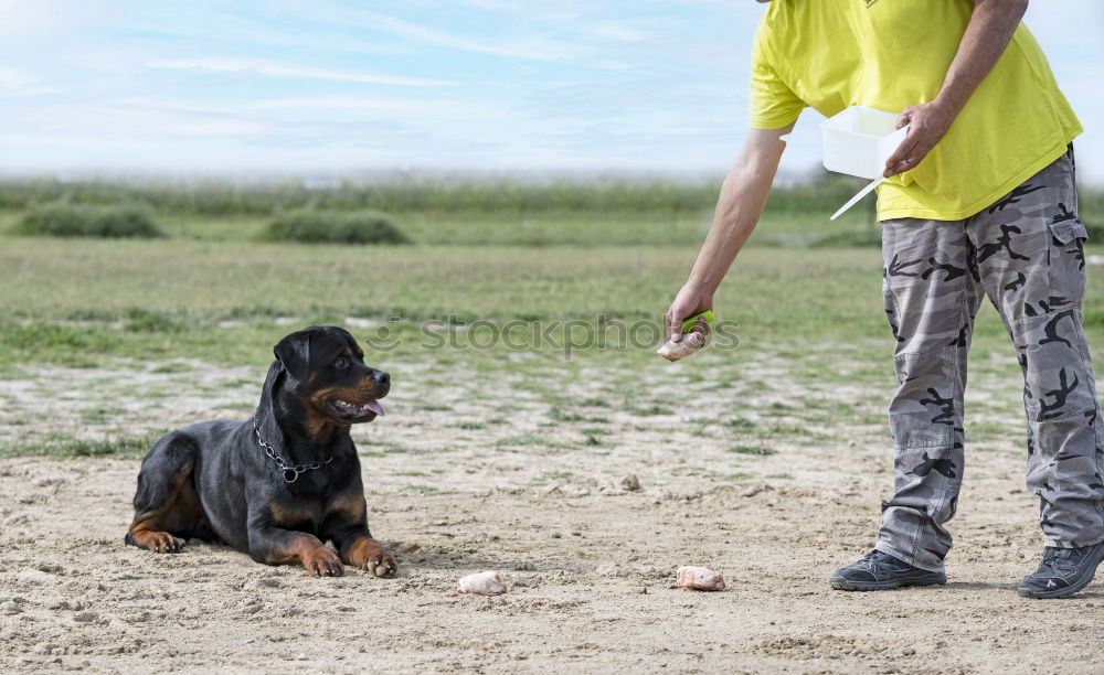 Similar – Image, Stock Photo Scratch out horse hooves