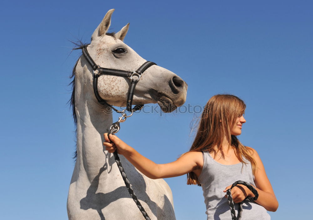 Similar – Andalusisches Duo Spanien