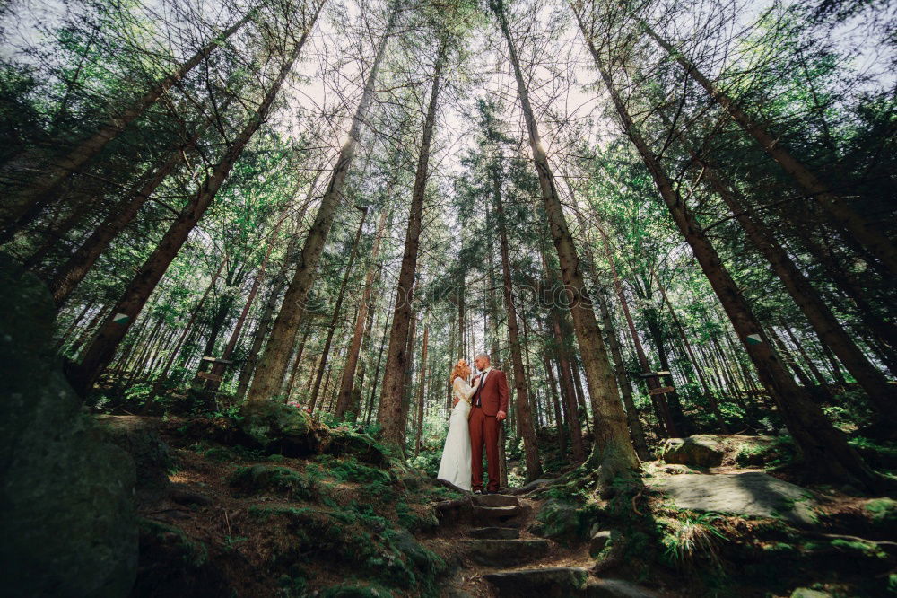 Similar – Image, Stock Photo Forest Maid II Lifestyle