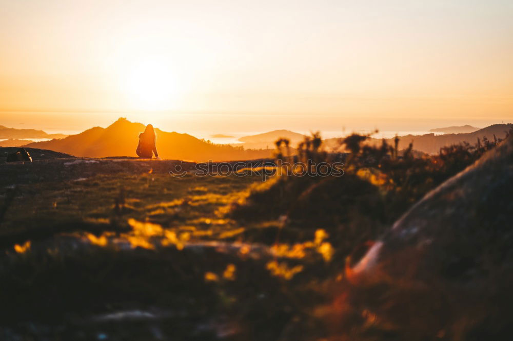 Similar – Sunset over the castle