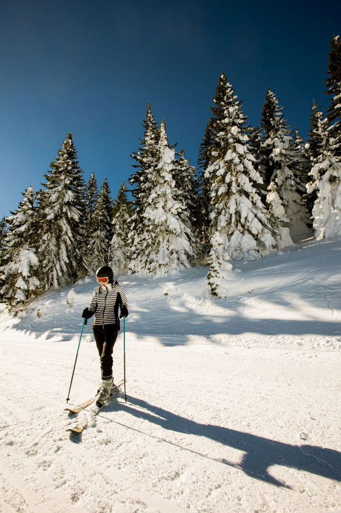 Similar – toboggan run