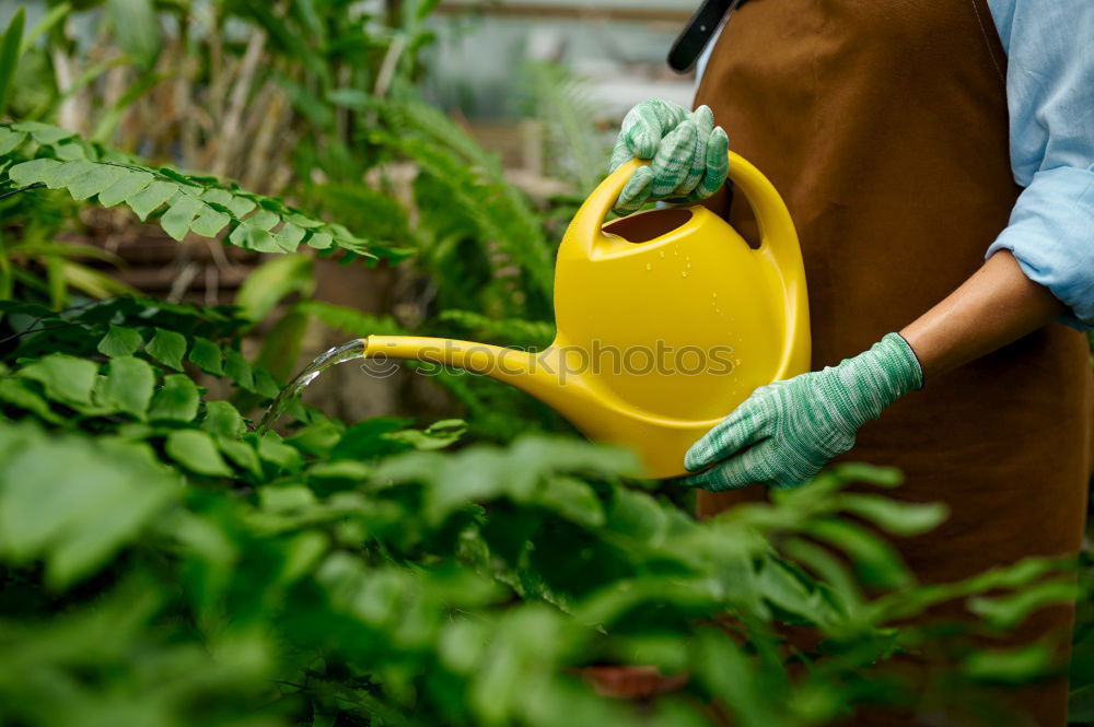 Similar – Image, Stock Photo Harvesting vegetables in agriculture with your hands on the field