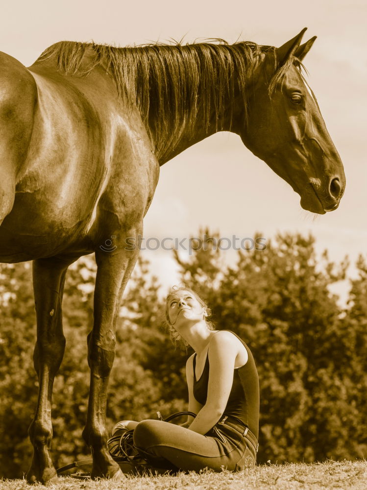 Similar – Young beautiful girl with white horse in forest. Woman horseback rider in boho style. Summertime nature scene.