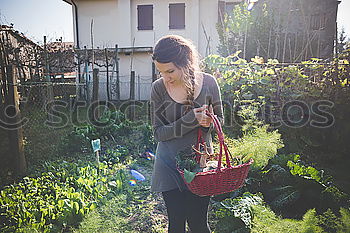 Similar – Girl picking berries in backyard