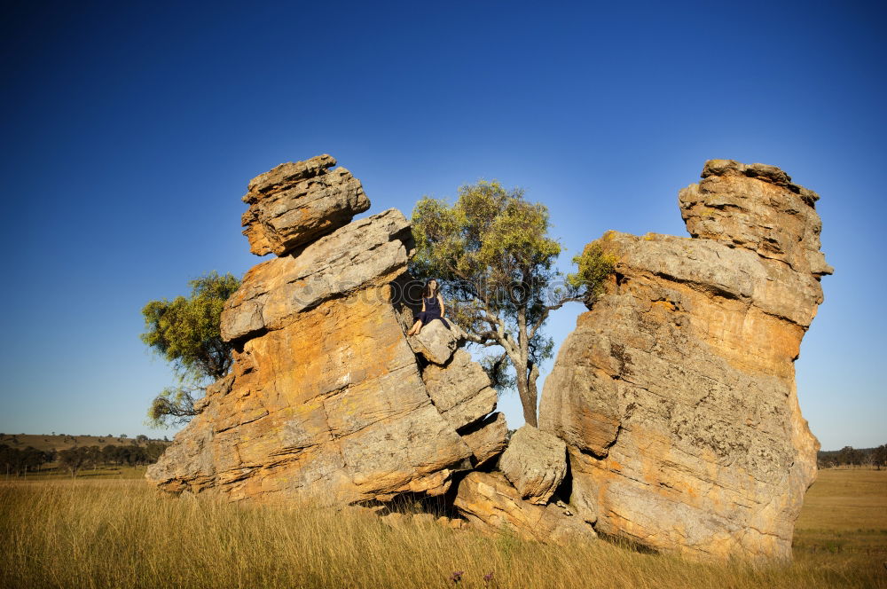 Similar – Image, Stock Photo termite maze Environment