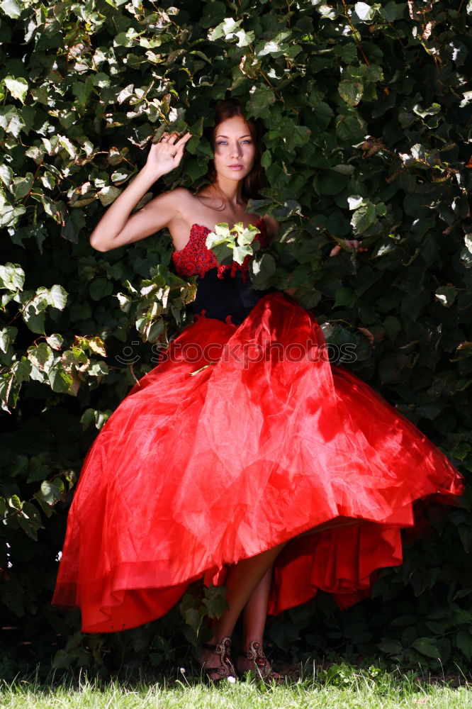 Image, Stock Photo Nikoliya Feminine Woman