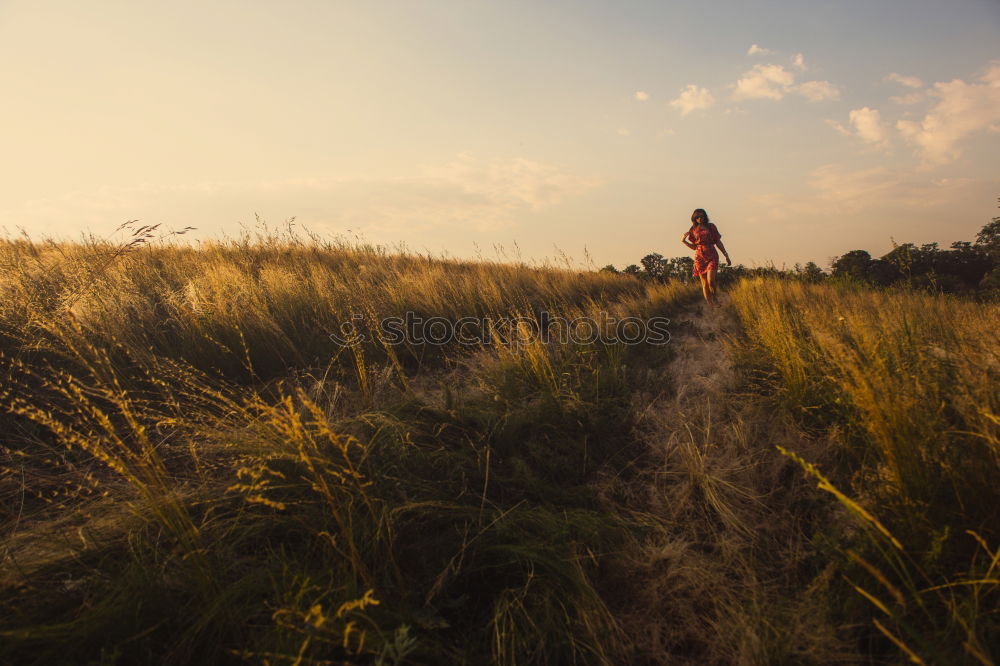 Similar – Image, Stock Photo Step into the unknown