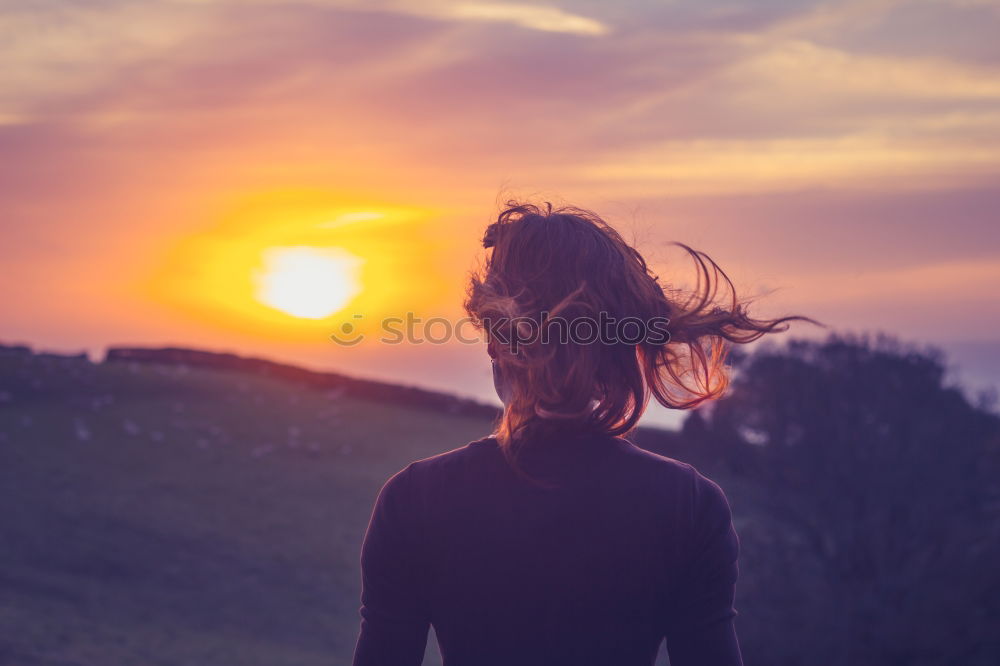 Similar – Image, Stock Photo Golden hour on long brown hair