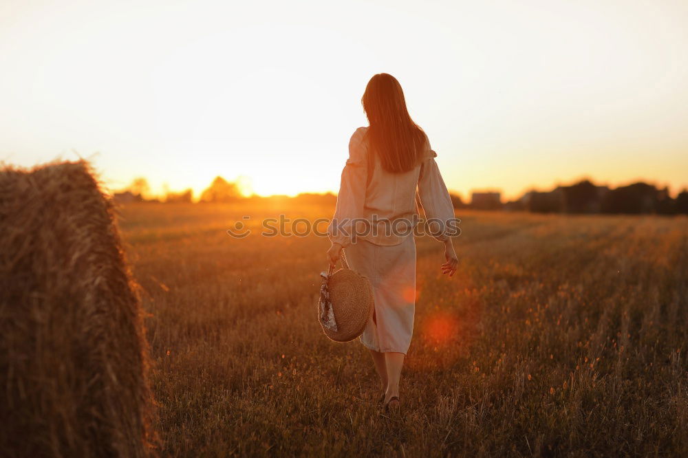 Similar – Image, Stock Photo Summer sunset Lifestyle