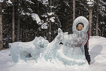 bear hunting Polar Bear